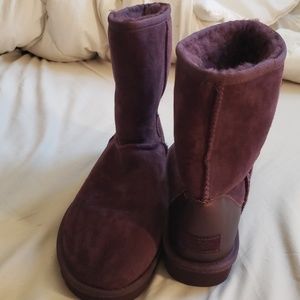 Purple Uggs